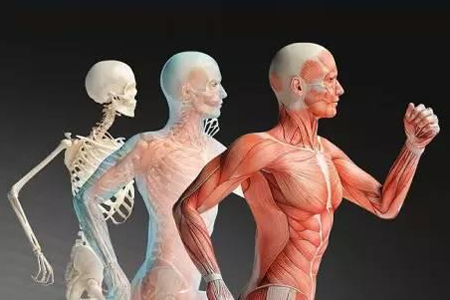      2018第十六屆廣州國(guó)際工業(yè)自動(dòng)化及工業(yè)機(jī)器人展覽會(huì)